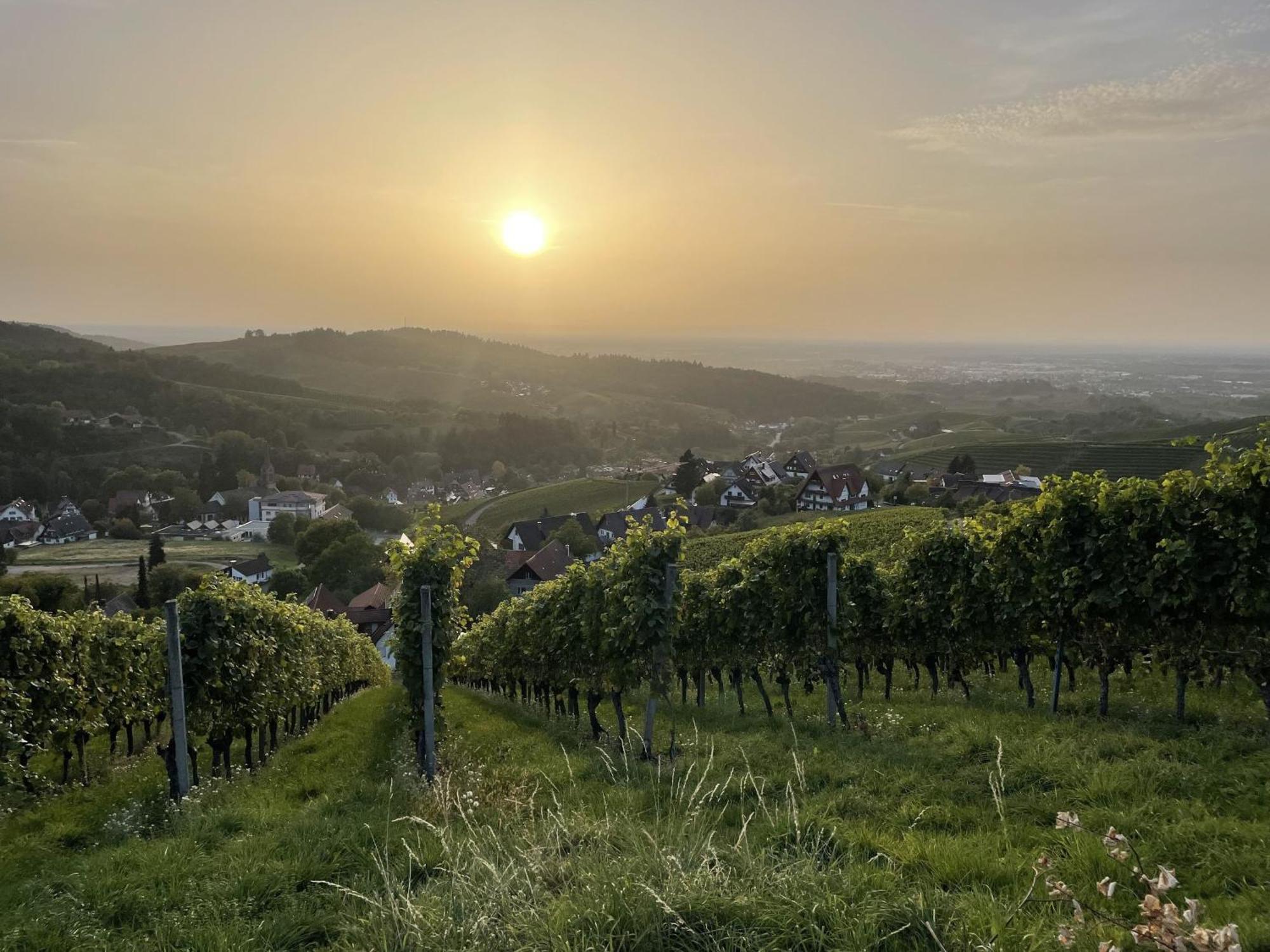 Ferienwohnung Wanderschoen Sasbachwalden Exteriér fotografie