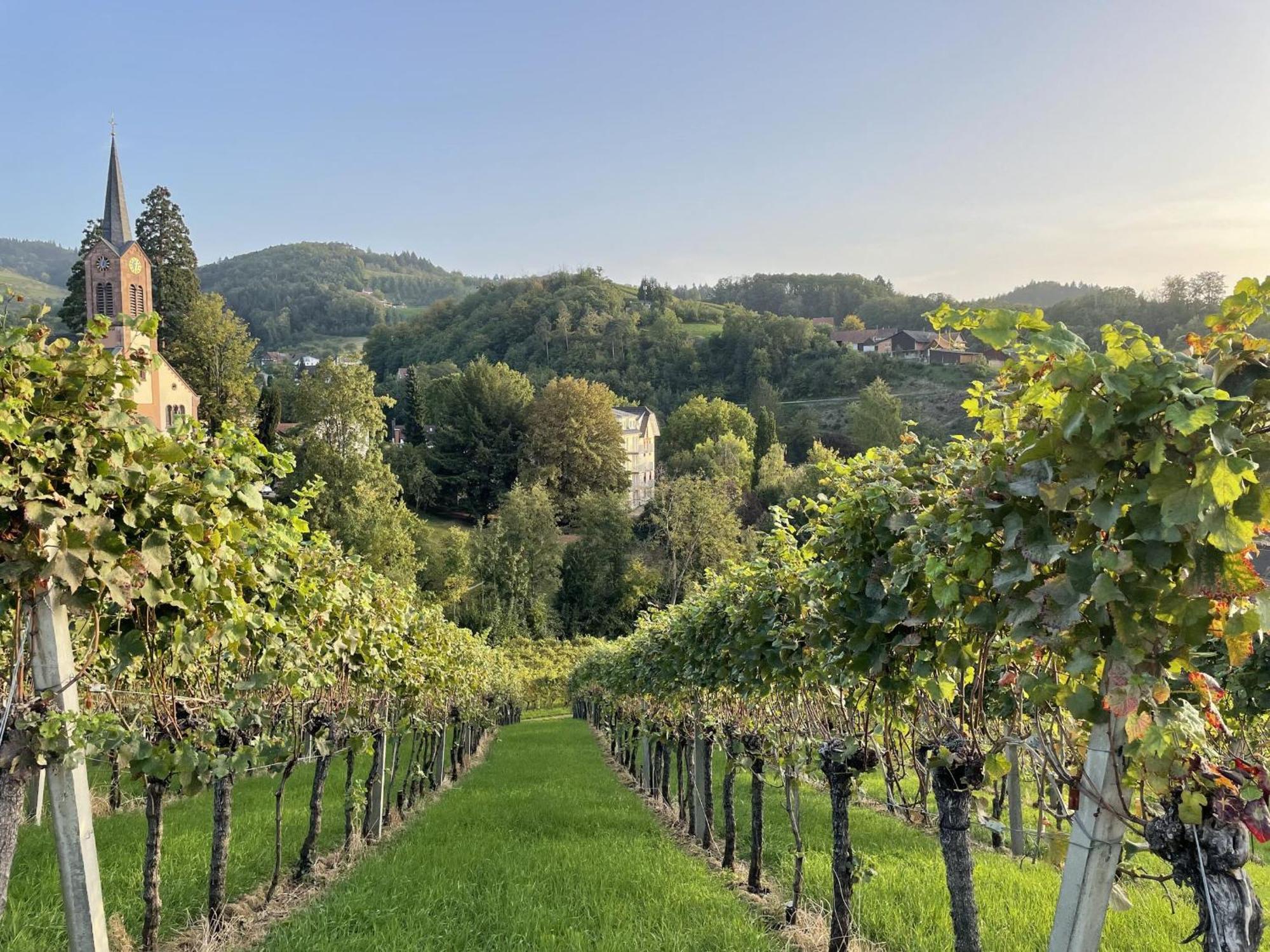 Ferienwohnung Wanderschoen Sasbachwalden Exteriér fotografie