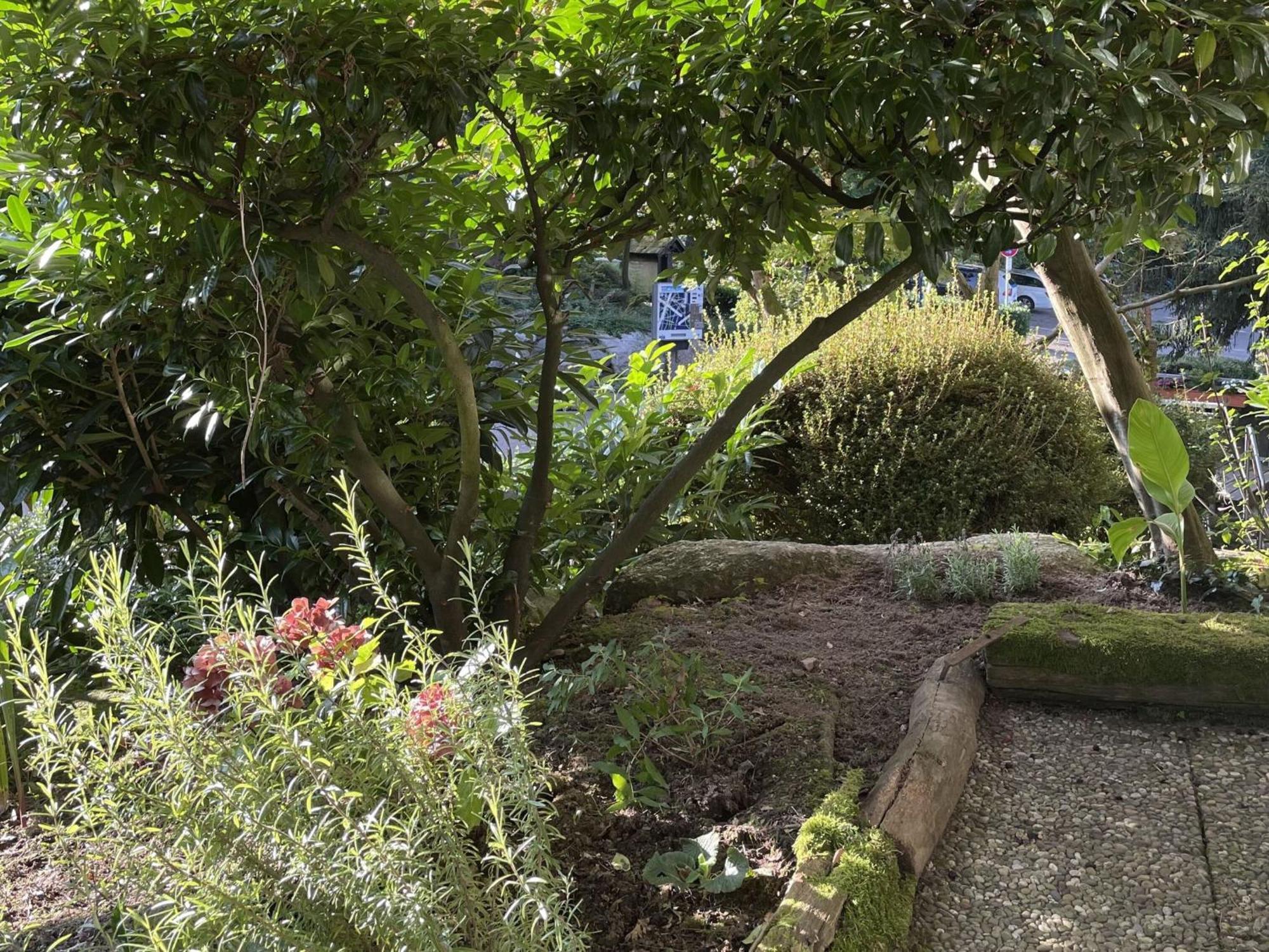 Ferienwohnung Wanderschoen Sasbachwalden Exteriér fotografie